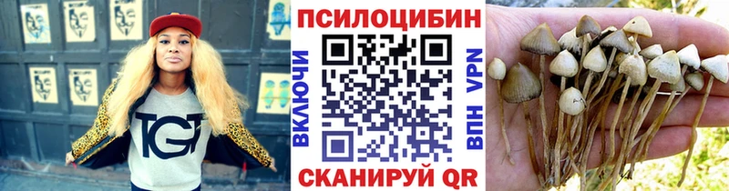 Псилоцибиновые грибы прущие грибы  даркнет сайт  дарк нет как зайти  Камбарка 
